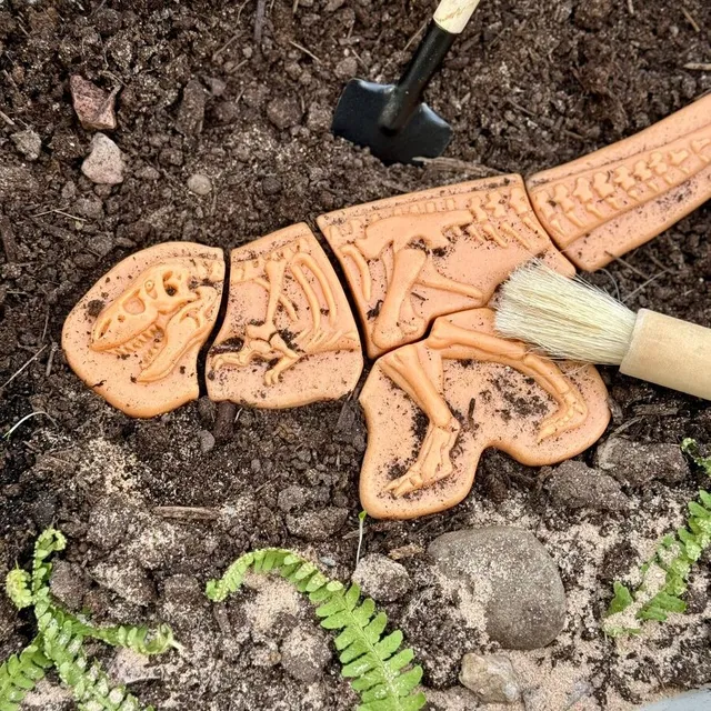 Yellow Door Dig Discover Ankylosaurus Rex schelete 2 dinozauri