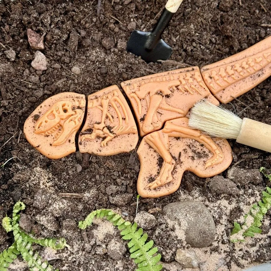 Yellow Door Dig Discover Ankylosaurus Rex schelete 2 dinozauri