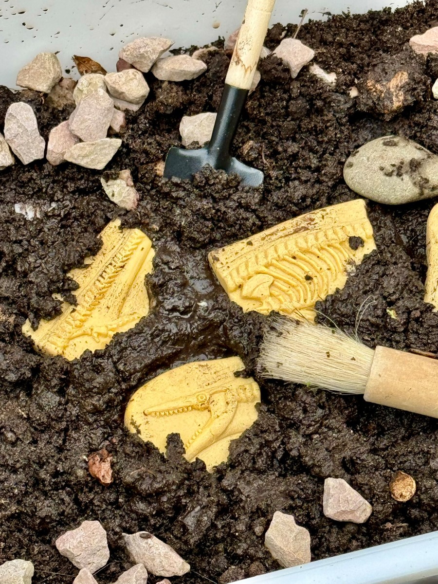 Yellow Door Dig Discover fosile dinozauri Pliosaur Stegosaurus