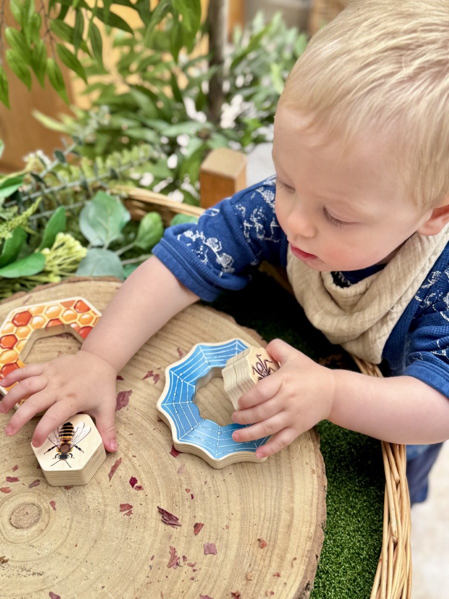 Who's Hiding Garden Bugs puzzle lemn insecte 4 buc