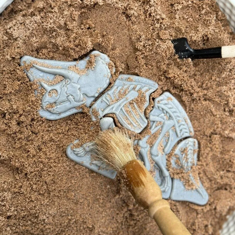 Yellow Door Dig Discover Triceratops puzzle scheleti dinozauri