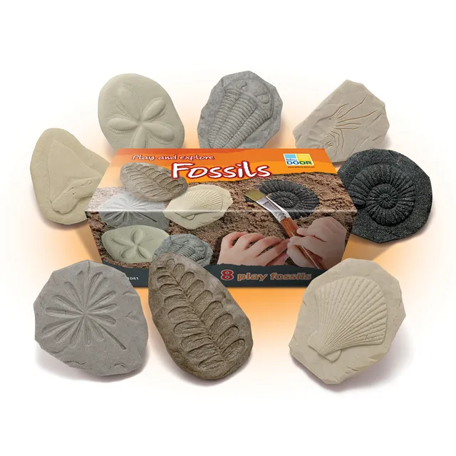 Yellow Door Let's Investigate Fossils set fosile 8 piese tactile