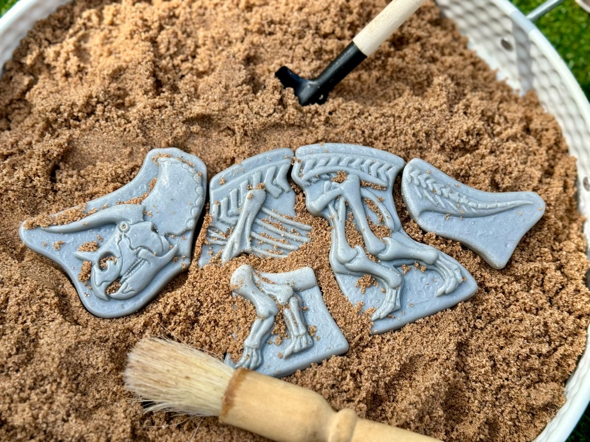 Yellow Door Dig Discover Triceratops puzzle scheleti dinozauri