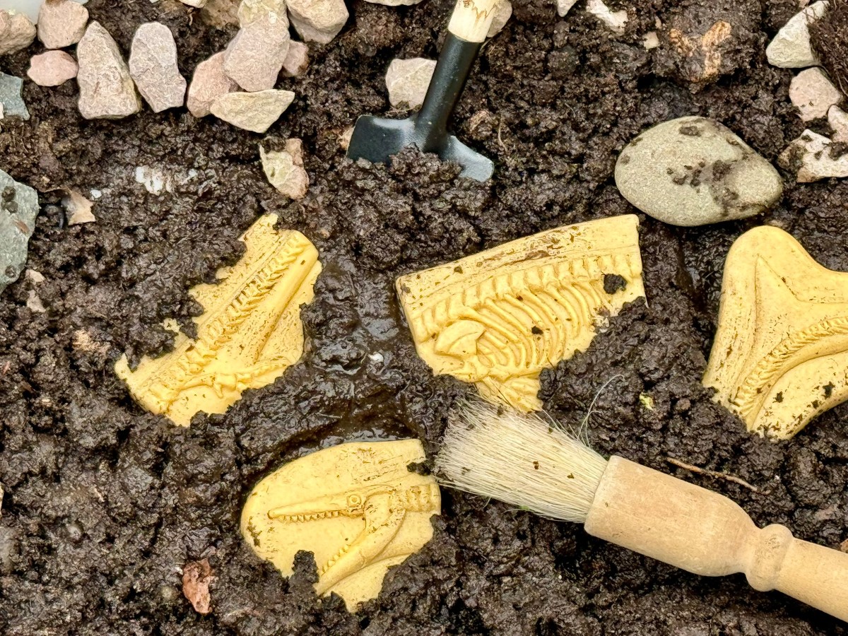 Yellow Door Dig Discover fosile dinozauri Pliosaur Stegosaurus