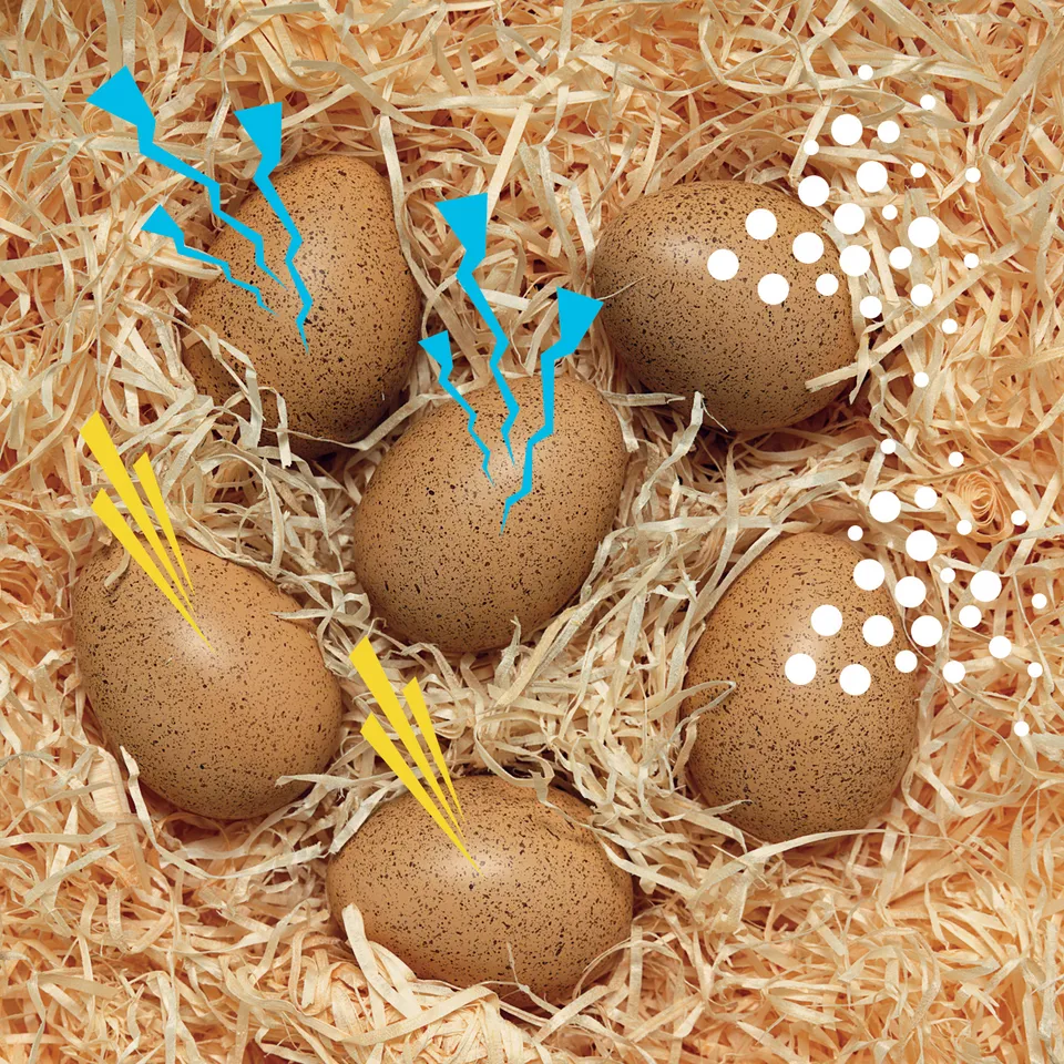 Yellow Door Sensory Sound Eggs oua senzoriale set 6 sunete