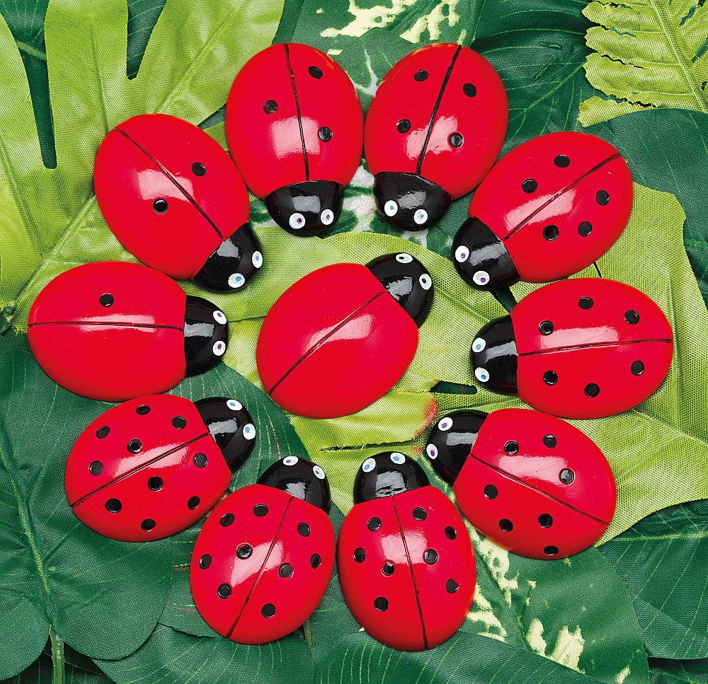 Yellow Door Ladybug Counting pack numărătoare 20 buburuze