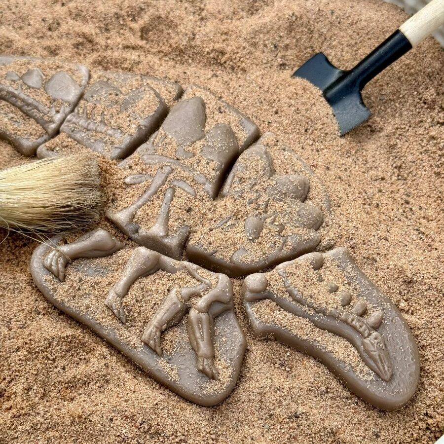 Yellow Door Dig and Discover Dinosaur Pack puzzle dinozauri set 6