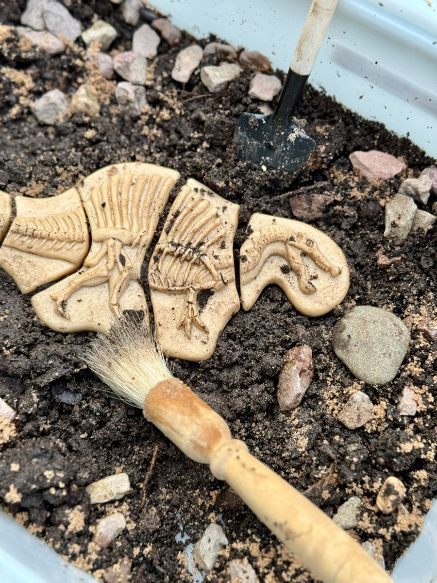 Yellow Door Dig Discover Triceratops puzzle scheleti dinozauri