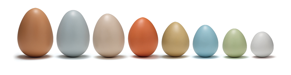 Yellow Door Size-Sorting Eggs oua senzoriale 8 buc tactil
