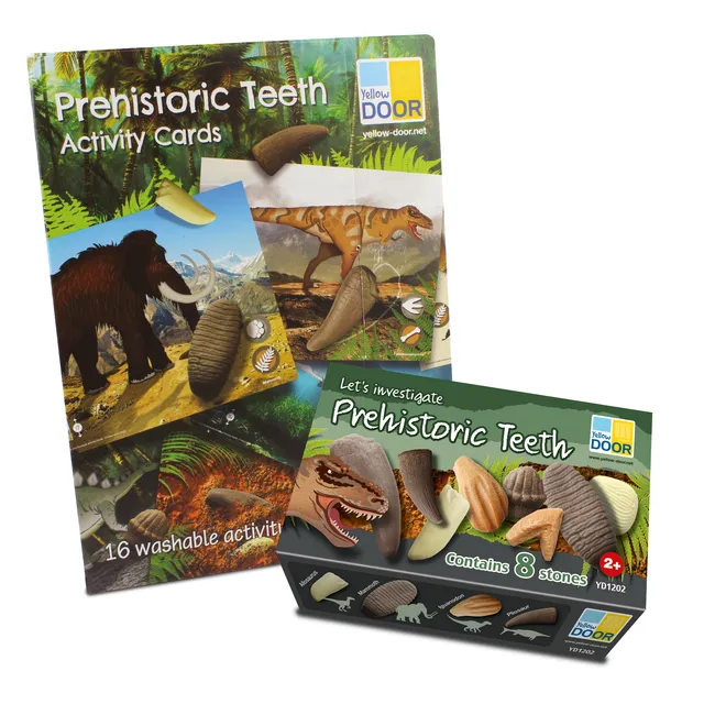 Yellow Door Prehistoric Teeth pack dinți+carduri 8 dinozauri