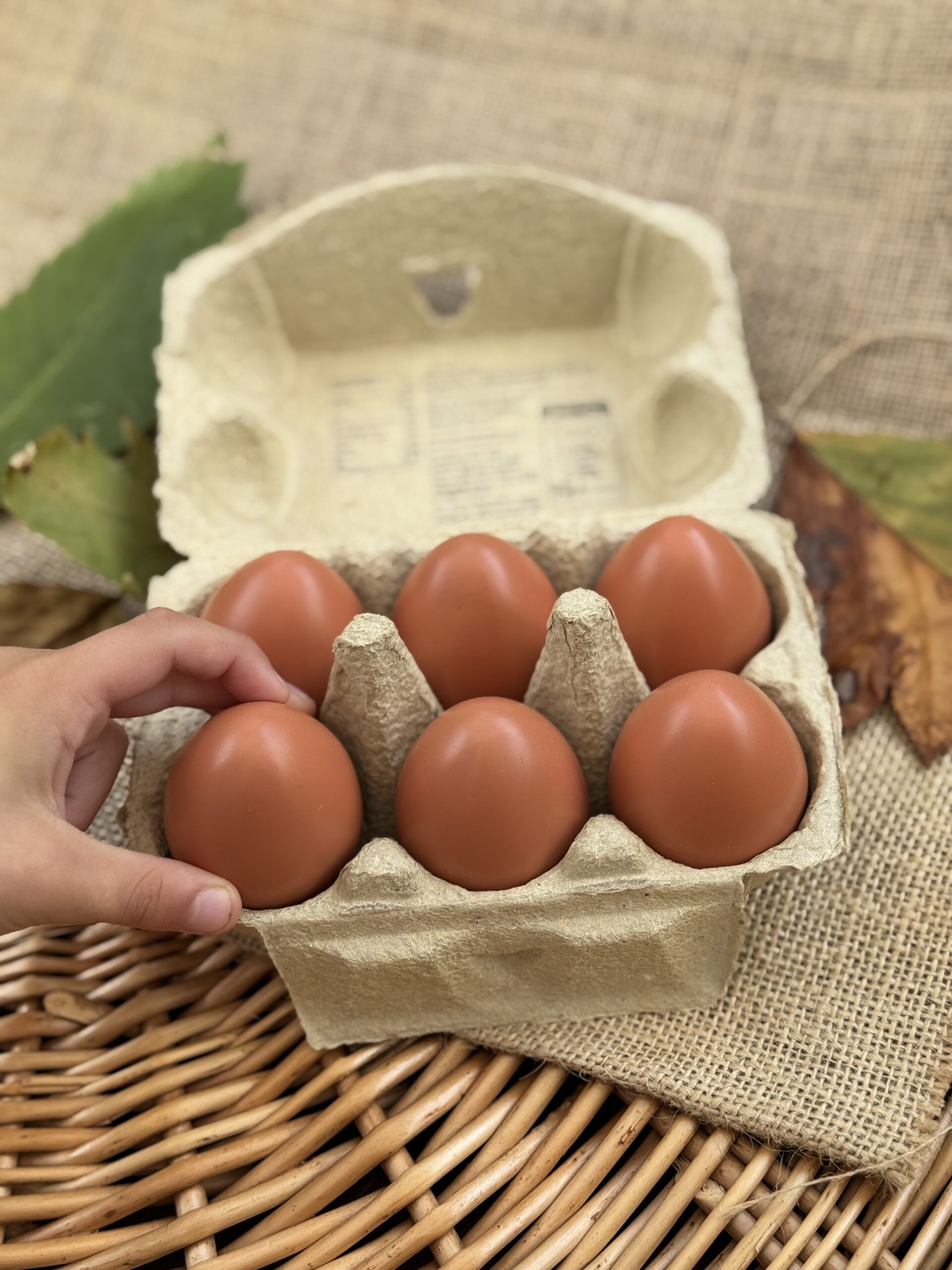 Yellow Door Play Eggs ouă joacă 6 buc piatră 60mm