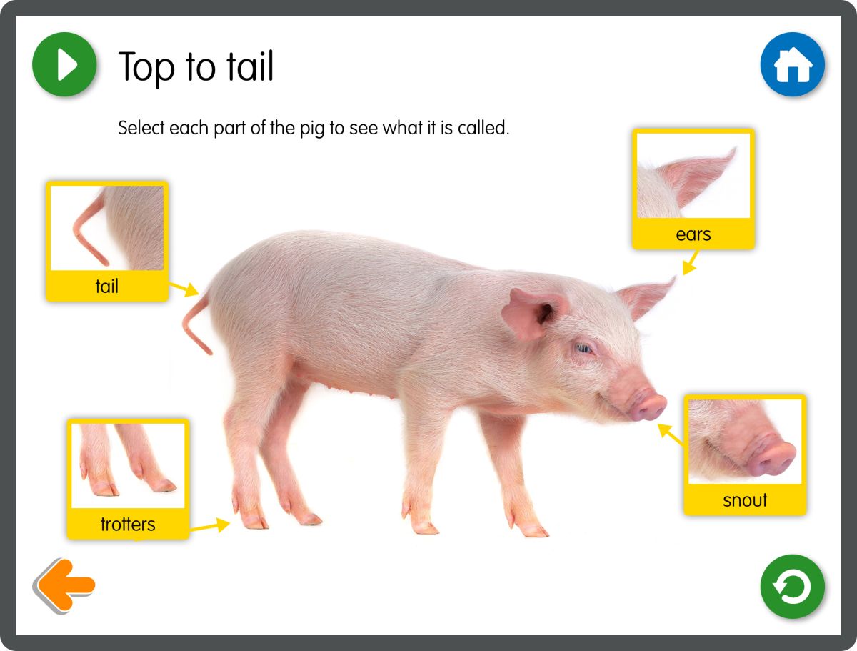 Yellow Door The Three Little Pigs aplicatie poveste tableta PC