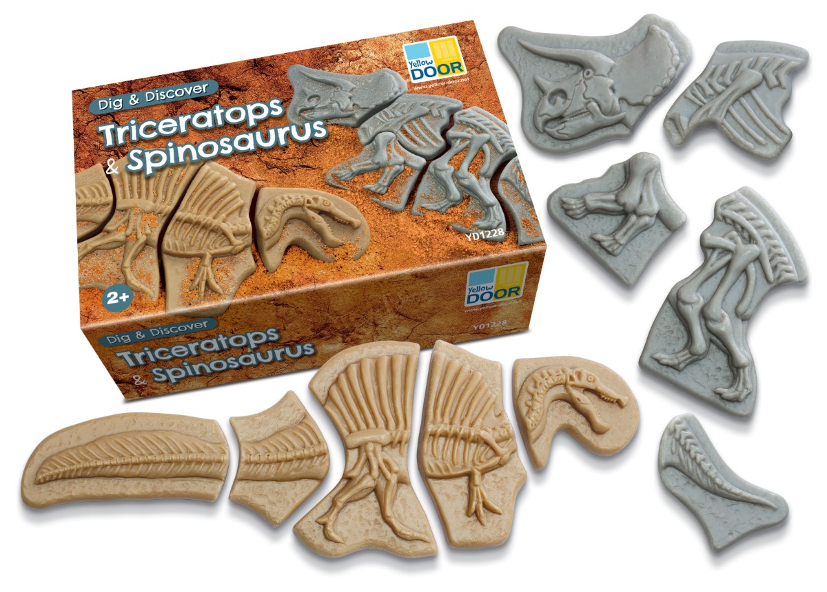 Yellow Door Dig Discover Triceratops puzzle scheleti dinozauri
