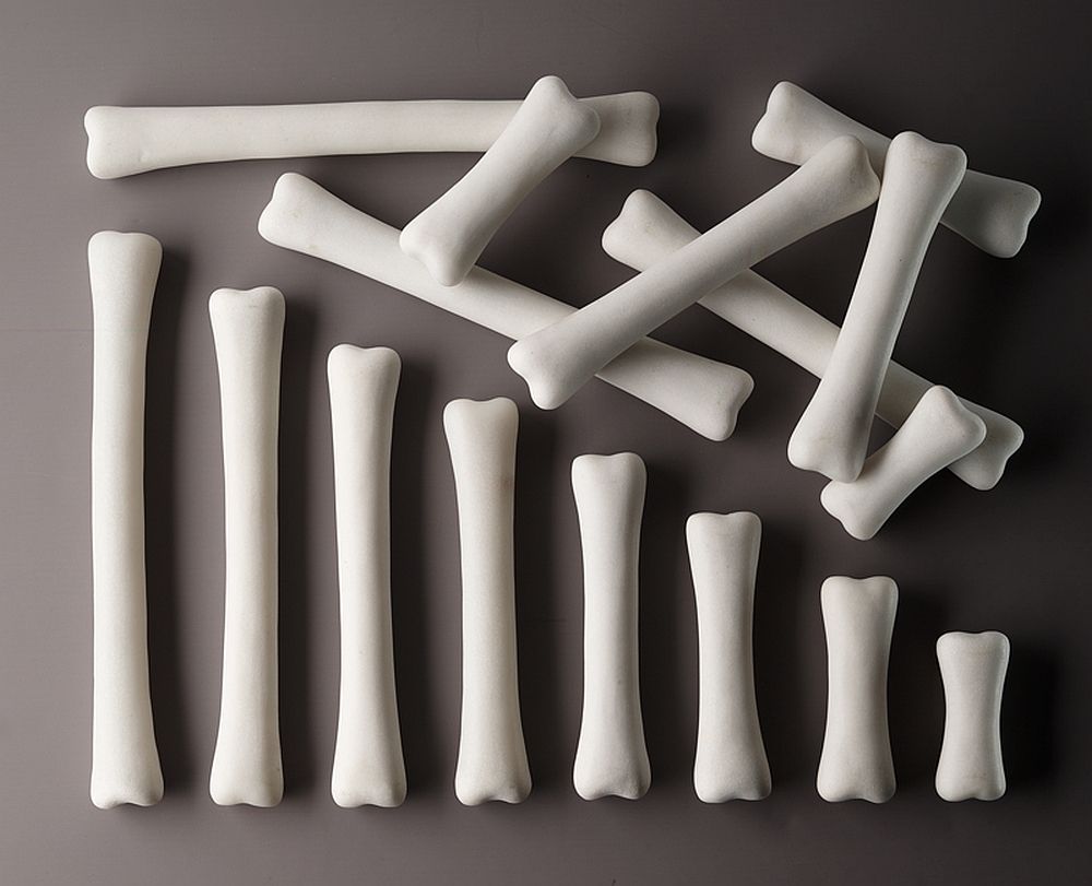 Yellow Door Dinosaur Bones Match and Measure set oase 16 piese