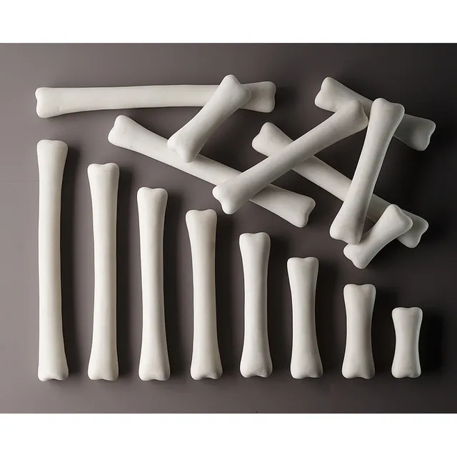Yellow Door Dinosaur Bones Match and Measure set oase 16 piese