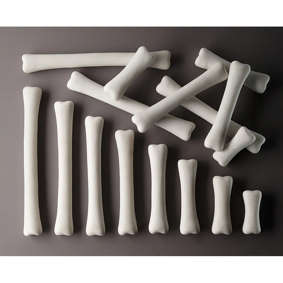 Yellow Door Dinosaur Bones Match and Measure set oase 16 piese
