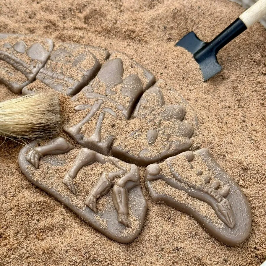 Yellow Door Dig Discover fosile dinozauri Pliosaur Stegosaurus