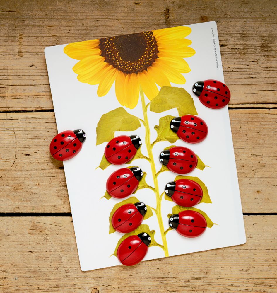 Yellow Door Ladybug Counting pack numărătoare 20 buburuze