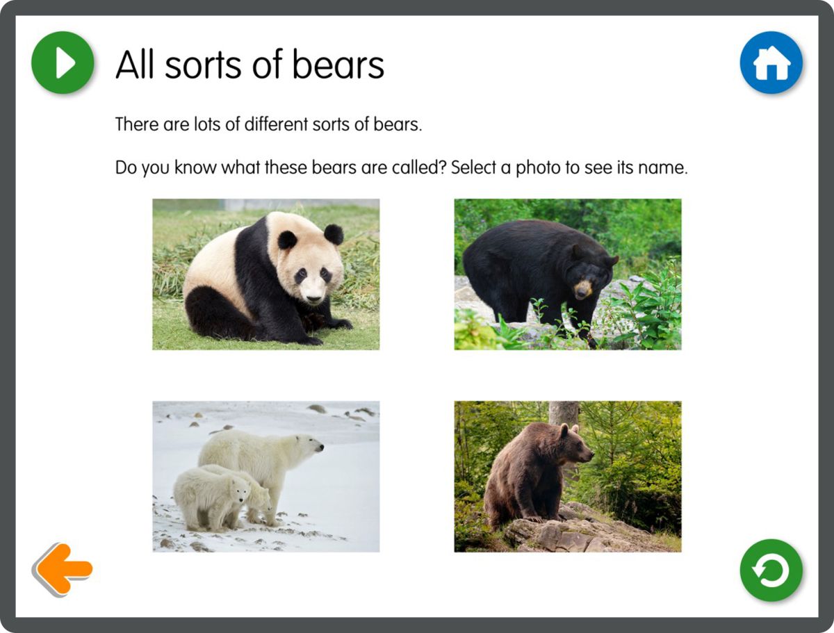 Yellow Door Goldilocks Three Bears aplicatie povesti interactiva