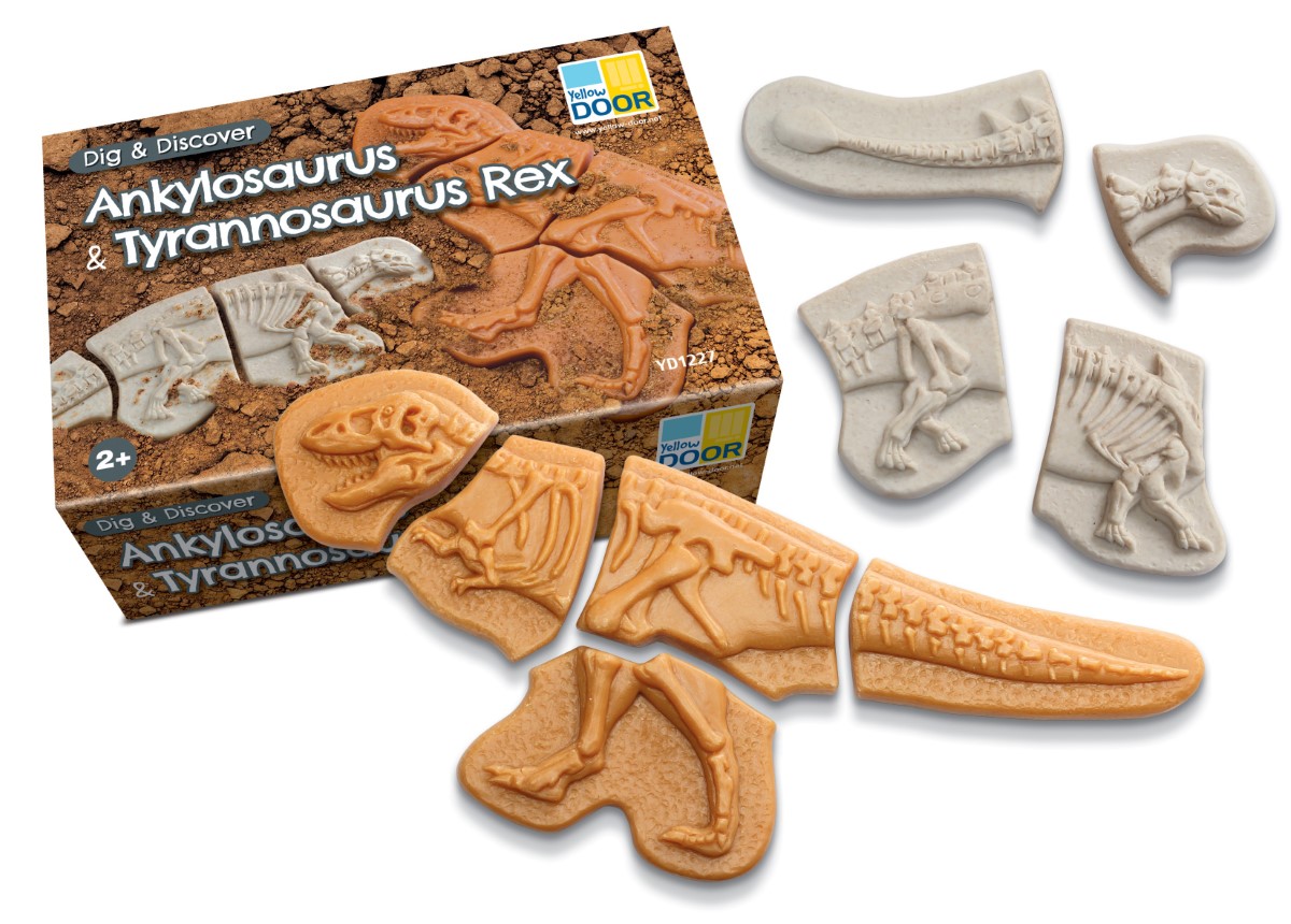 Yellow Door Dig Discover Ankylosaurus Rex schelete 2 dinozauri