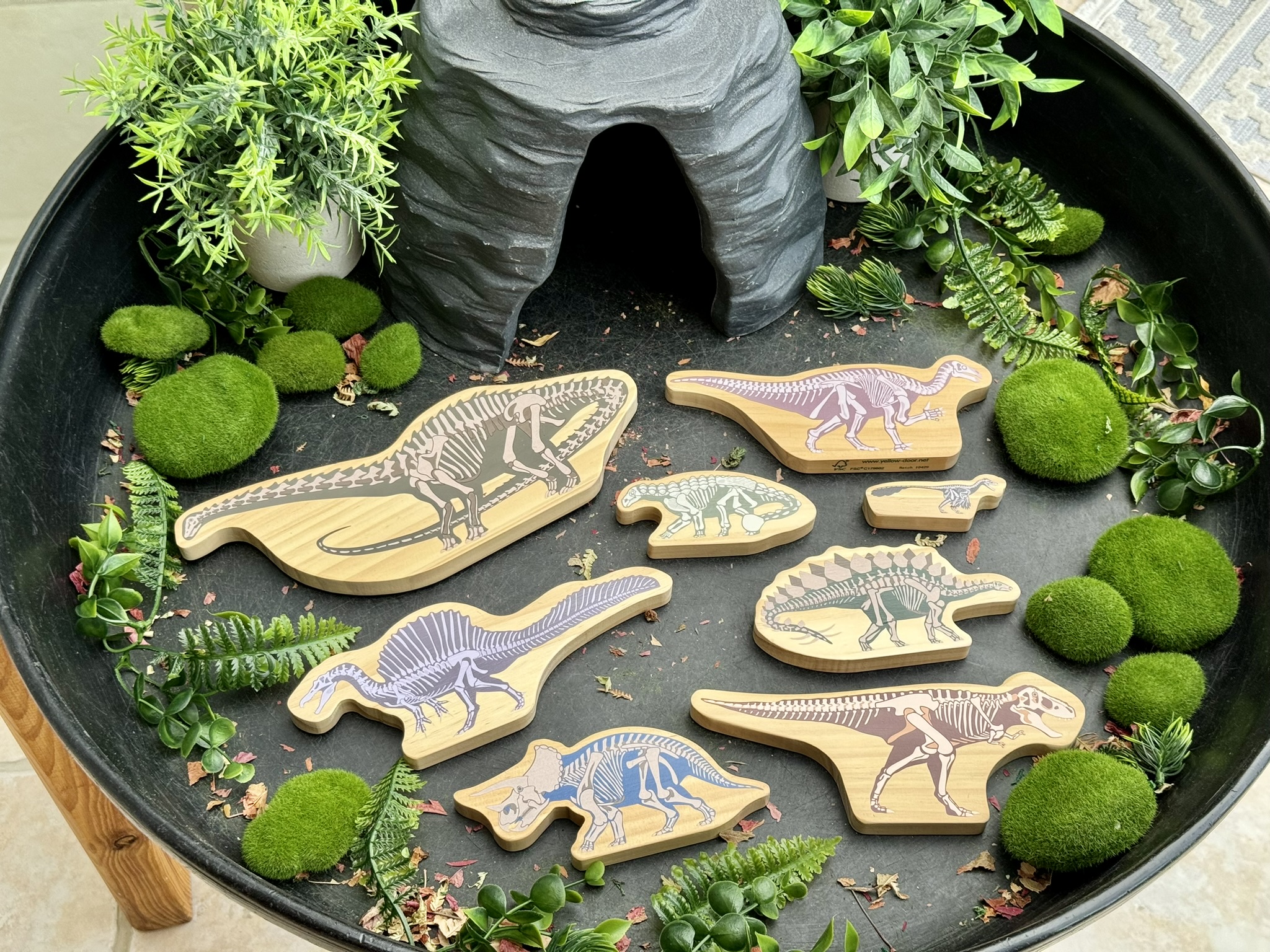Yellow Door Dinosaur figurine lemn dinozauri 8 buc schelet