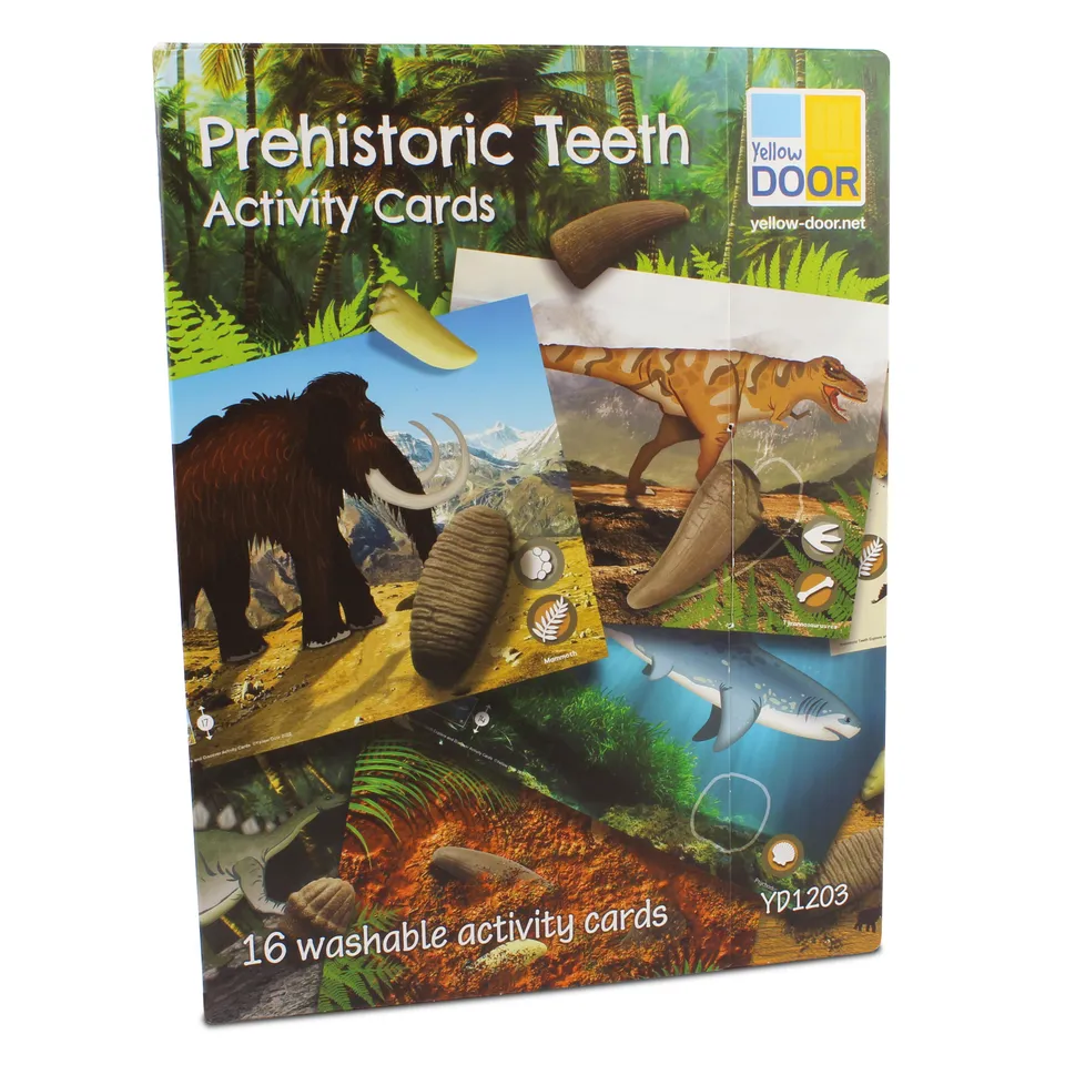 Yellow Door Prehistoric Teeth carduri activități 16 dinozauri