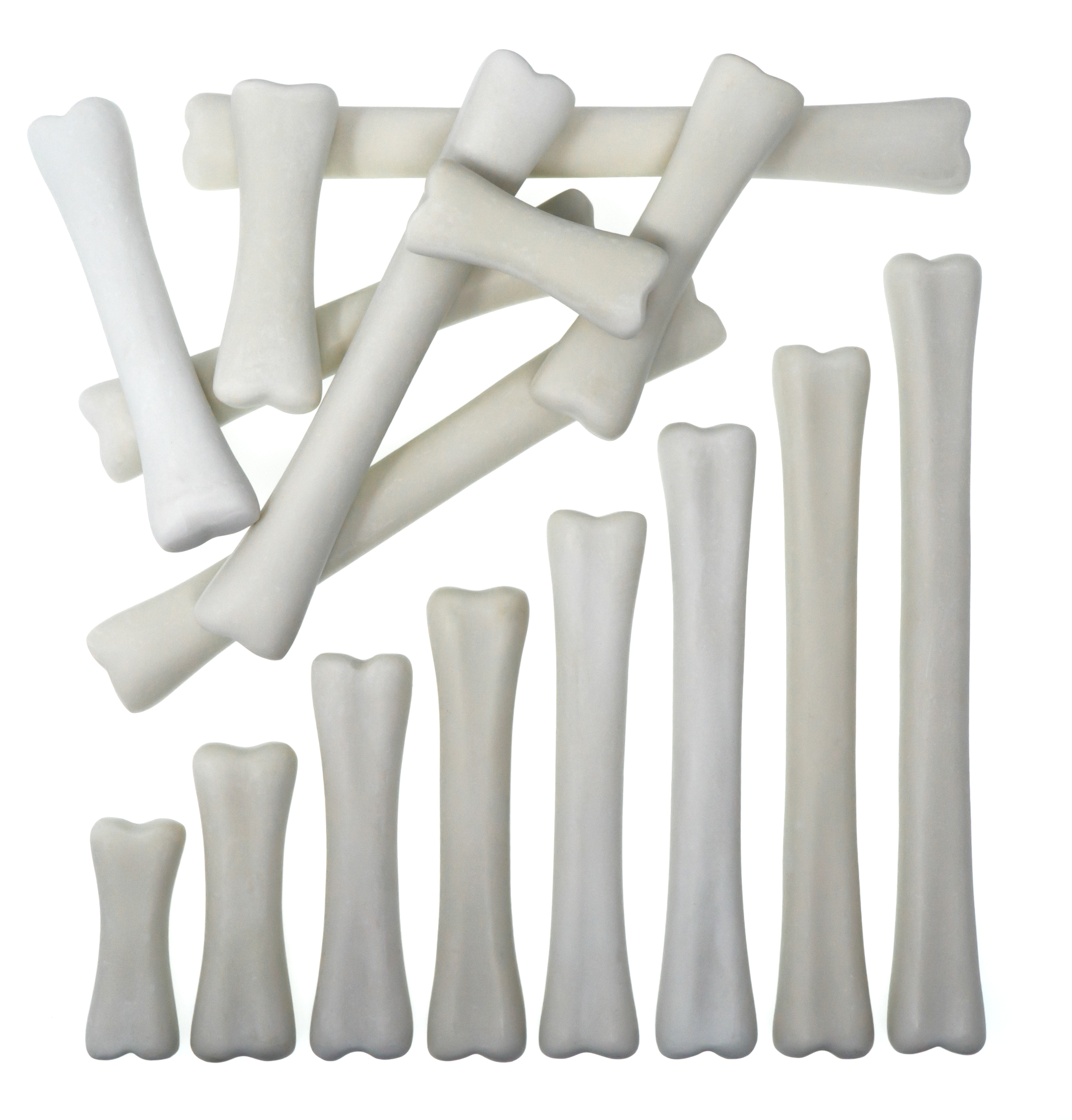 Yellow Door Dinosaur Bones Match and Measure set oase 16 piese
