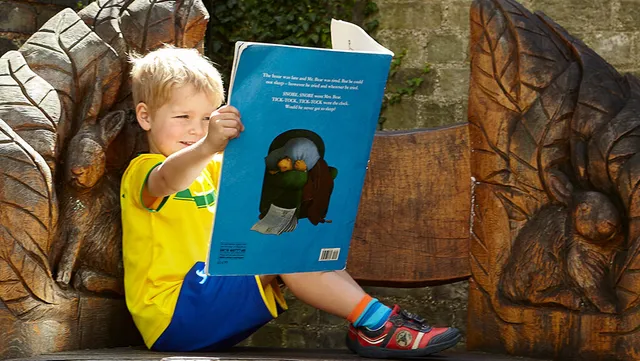 Yellow Door Brilliant Book Lists liste carti PDF teme gradinita