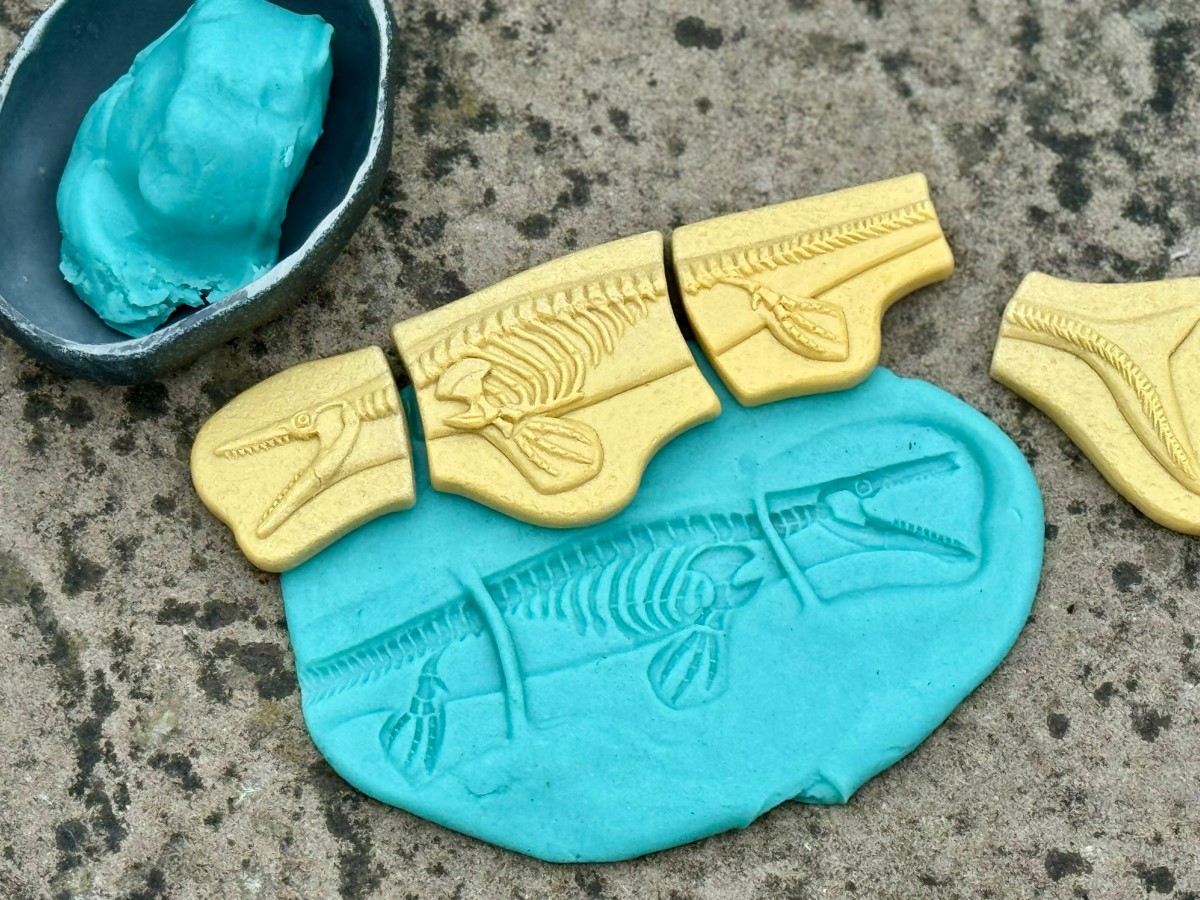 Yellow Door Dig Discover fosile dinozauri Pliosaur Stegosaurus