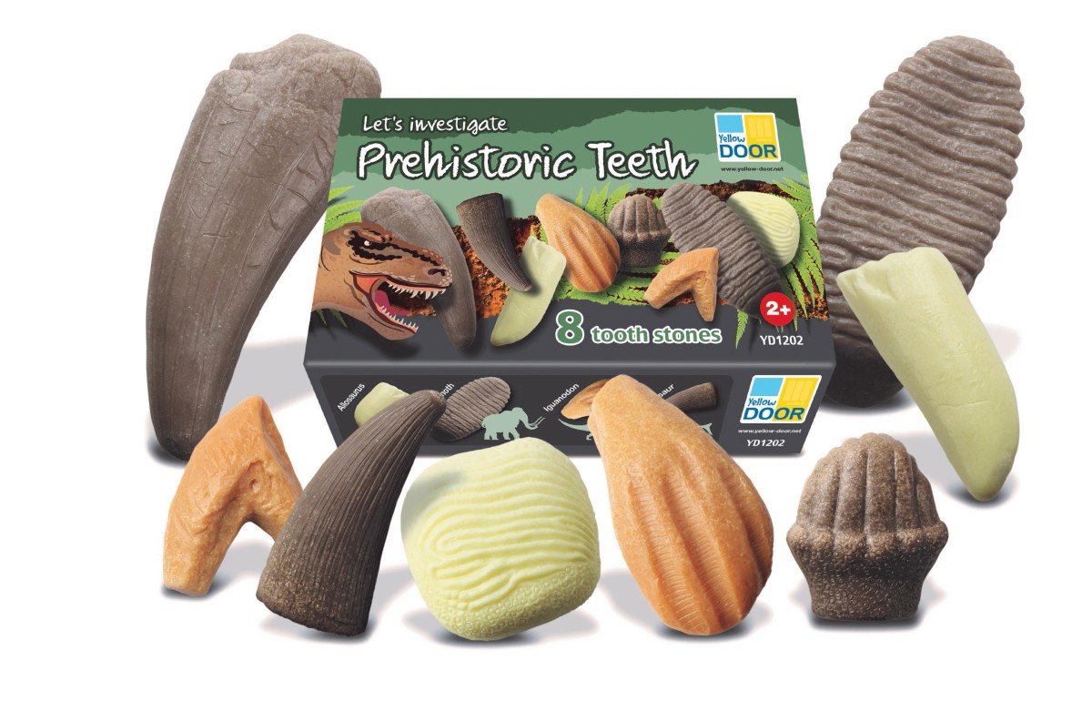 Yellow Door Prehistoric Teeth pack dinți+carduri 8 dinozauri