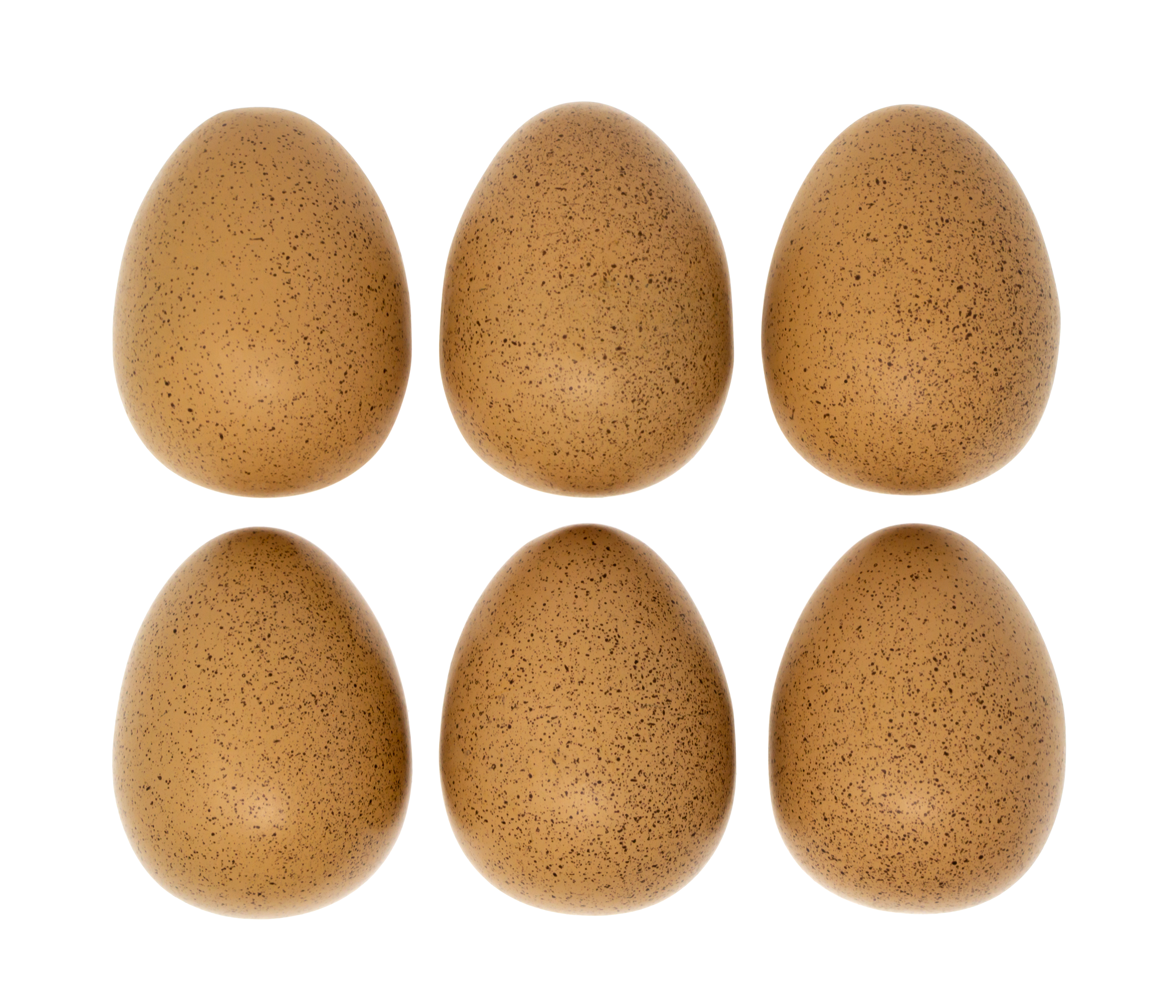 Yellow Door Sensory Sound Eggs oua senzoriale set 6 sunete