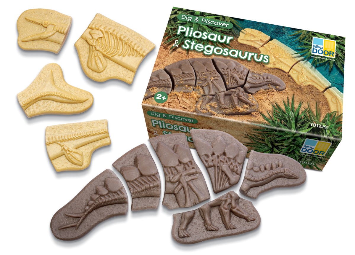 Yellow Door Dig Discover fosile dinozauri Pliosaur Stegosaurus