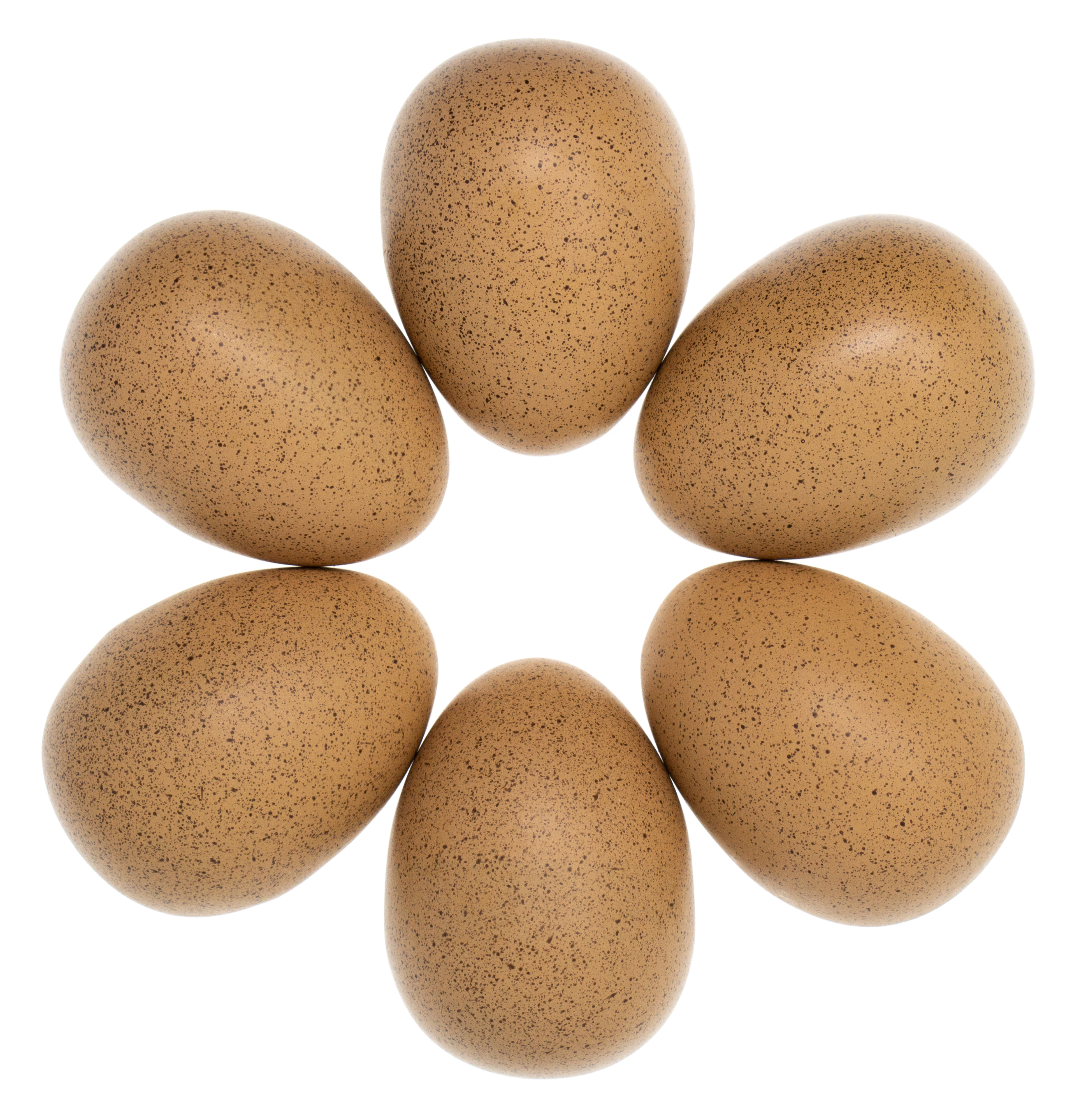 Yellow Door Sensory Sound Eggs oua senzoriale set 6 sunete