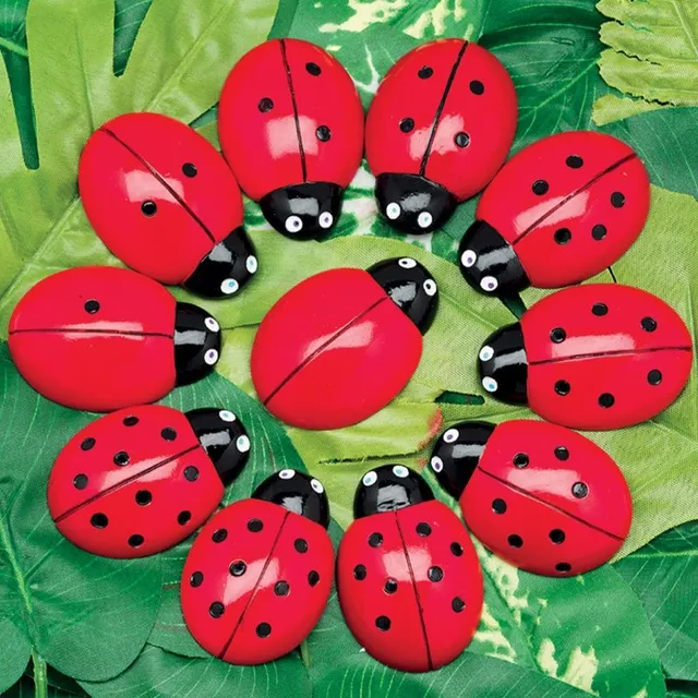 Yellow Door Ladybug Counting pietre buburuze 22 piese 0-10